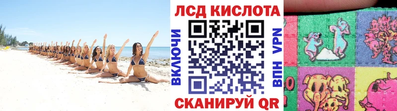 Купить закладки  Белый  Наркотические марки 1,8мг 