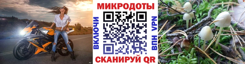 Купить закладки  Белый  Галлюциногенные грибы Cubensis 